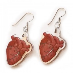 Earrings - Anatomical Heart